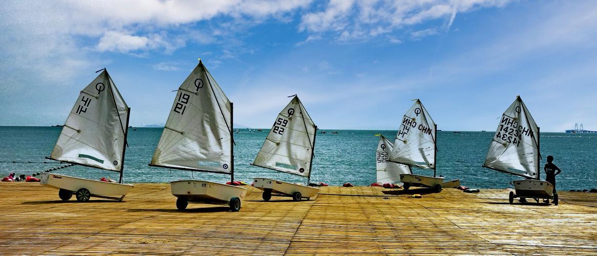 在未来的培 在未来的培