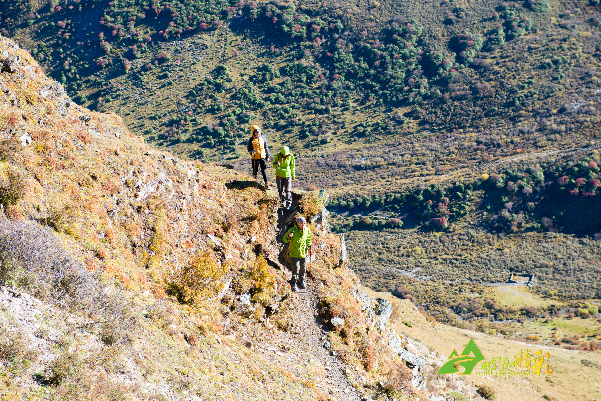 续类似问题 续类似问题